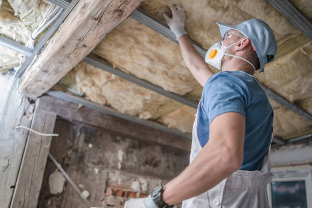 Trusted DE Insulation Contractor Experts